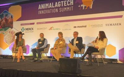 Synergraze Joins Global Panel Discussion on Methane-Inhibiting Cattle Feed Additives