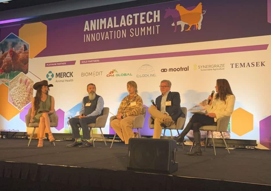 Panel on stage at Animal AgTech Innovation Summit