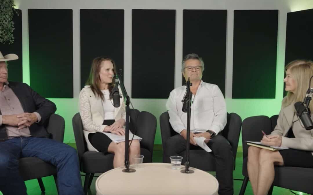 Synergraze COP 29 announcement and roundtable
